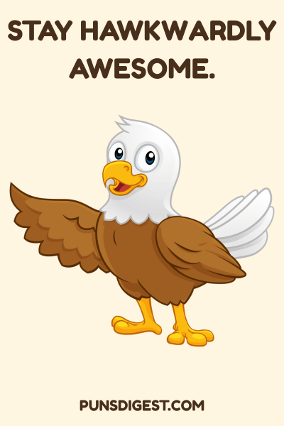 Best Hawk Puns