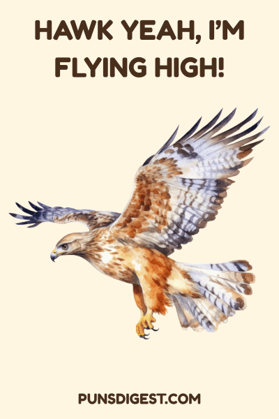 Feather Light Hawk Puns