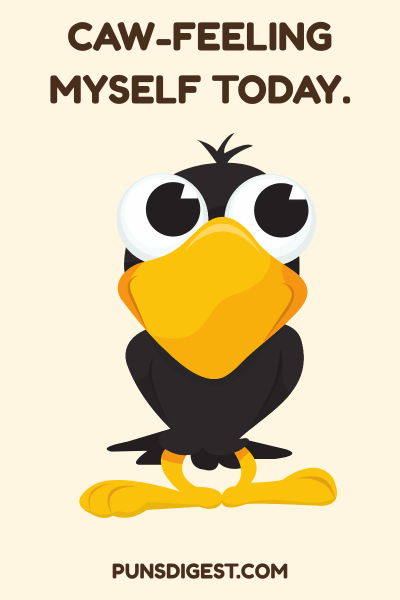 Funny Crow Puns
