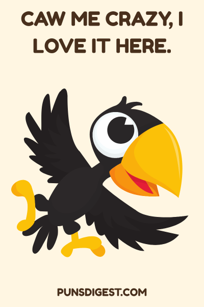 One Liner Crow Puns