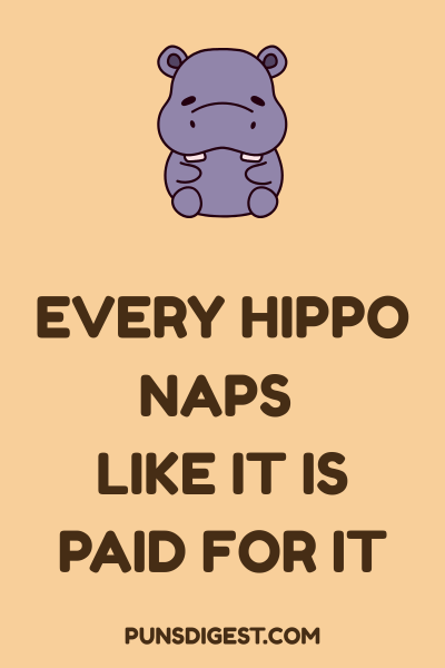 Best Hippo Puns