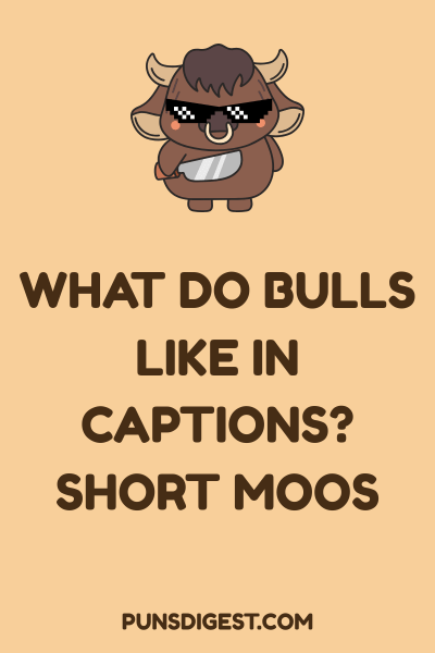 Bull Puns Captions