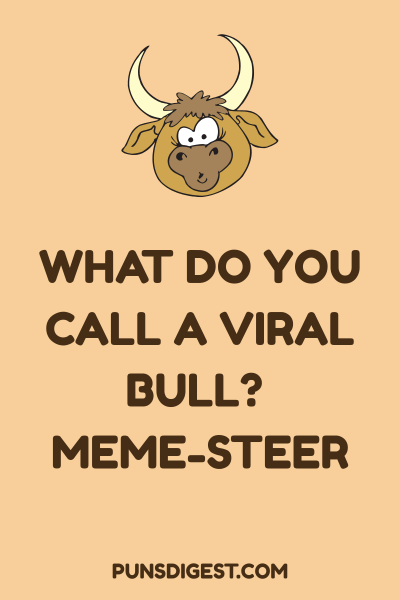 Bull Puns for Instagram