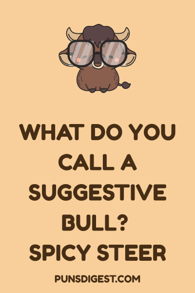 Dirty Bull Puns