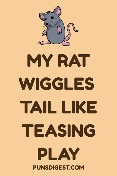 Dirty Rat Puns
