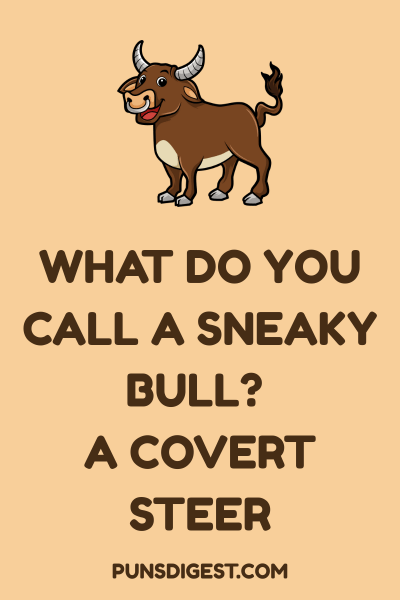 Funny Bull Puns