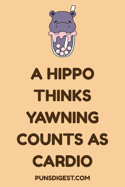 Funny Hippo Puns