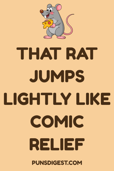 Funny Rat Puns