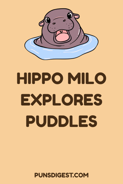 Hippo Name Puns