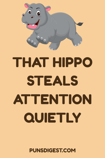 Hippo Puns for Instagram