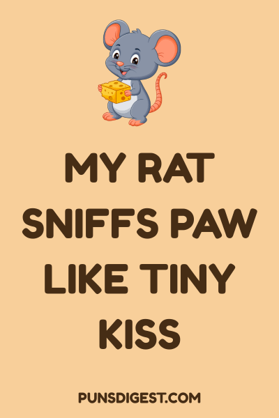 Rat Love Puns