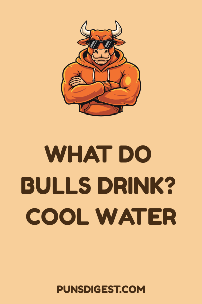Short Bull Puns