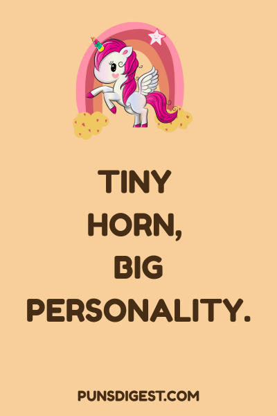 Unicorn Puns for Instagram