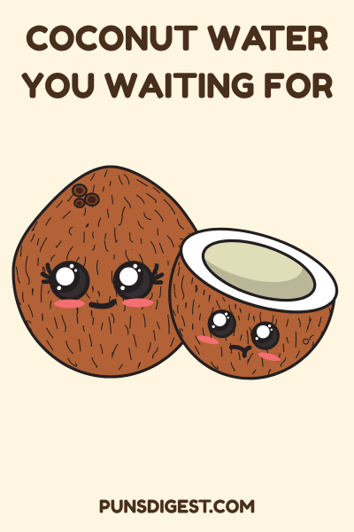 Best Coconut Puns