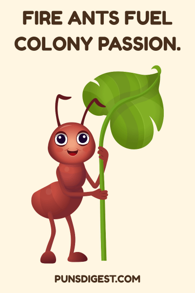 Ant Name Puns