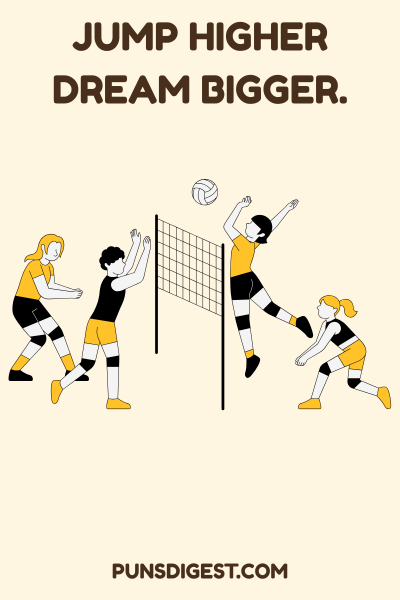 Beach volleyball Puns