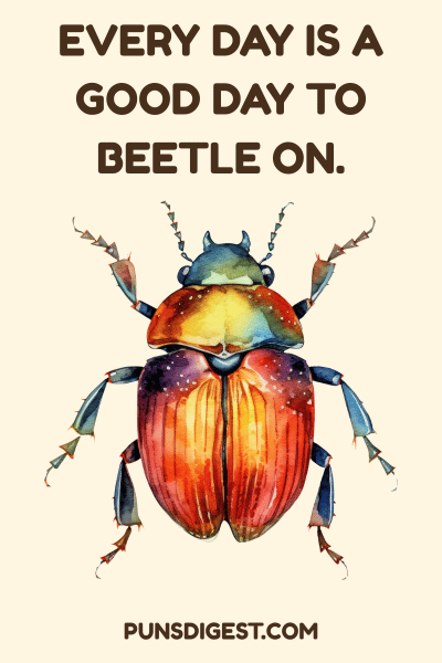 Beetle Puns for Instagram