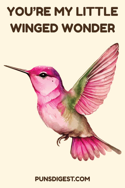 Best Hummingbird Puns
