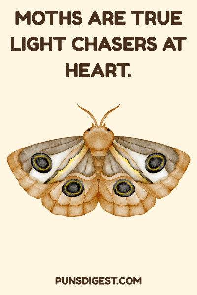 Best Moth Puns