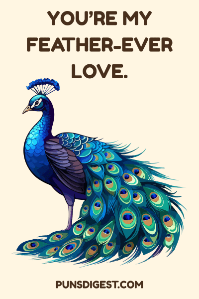 Best Peacock Puns