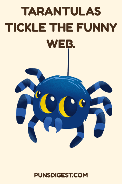 Best Tarantula Puns
