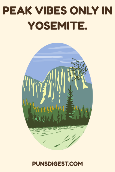 Best Yosemite Puns