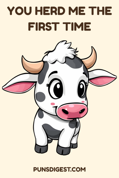 Birthday Cow Puns