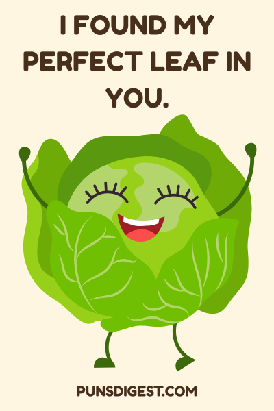 Cabbage Puns for Kids