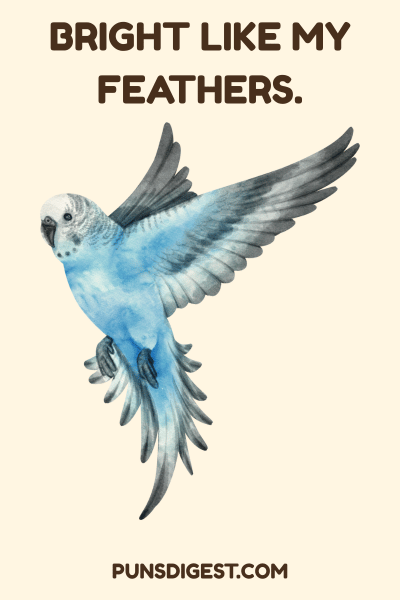 Caption Parakeet Puns