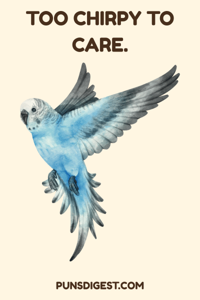 Clever Budgie Puns