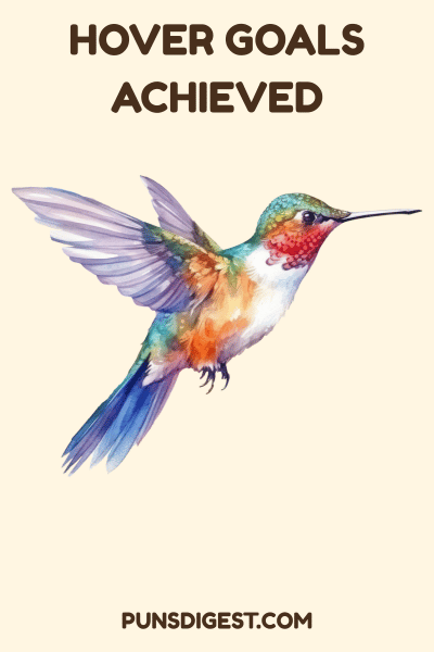 Clever Hummingbird Puns