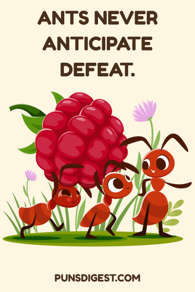 Cute Ant Puns