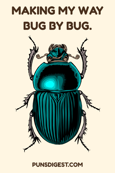 Cute Beetle Puns