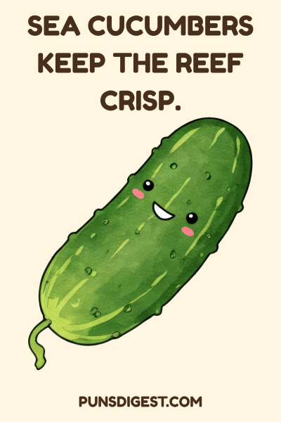 Cute Cucumber Puns