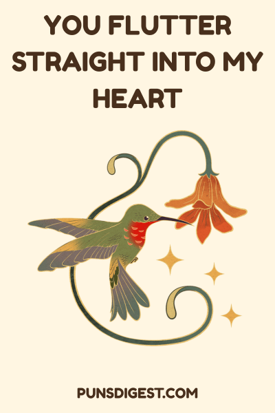 Cute Hummingbird Puns