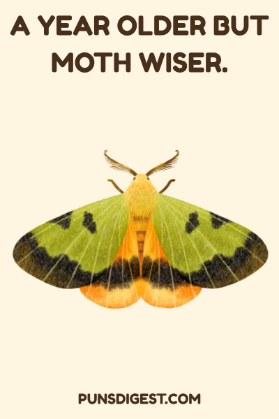 Cute Moth Puns