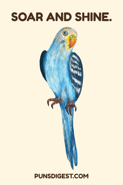 Cute Parakeet Puns