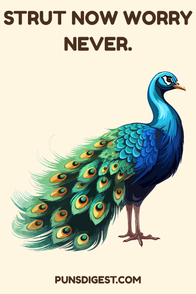 Cute Peacock Puns
