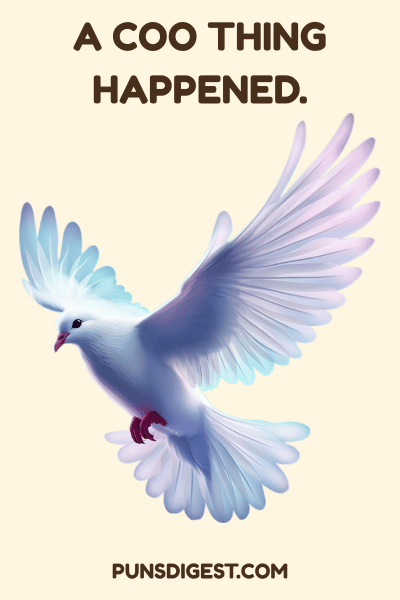 Cute Pigeon Puns