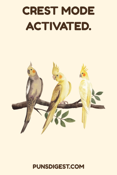 Dirty Cockatiel Puns