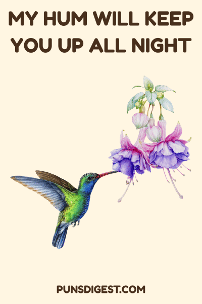 Dirty Hummingbird Puns