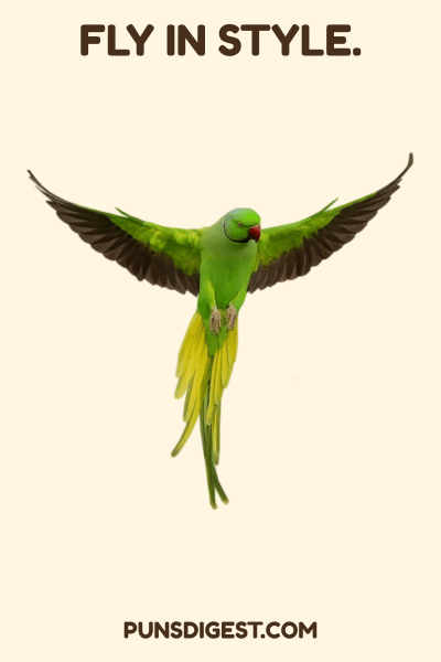 Dirty Parakeet Puns