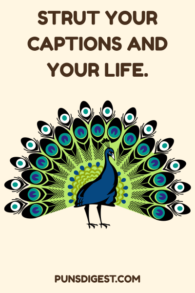 Dirty Peacock Puns