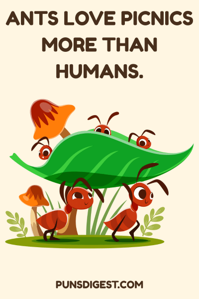Fire Ant Puns