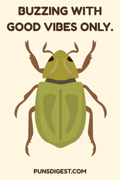 Funny Beetle Puns