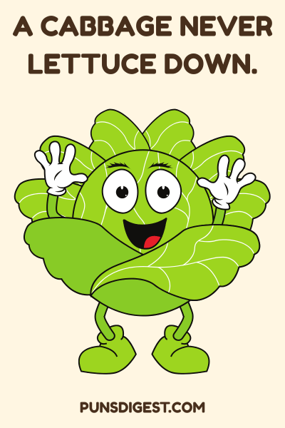 Funny Cabbage Puns