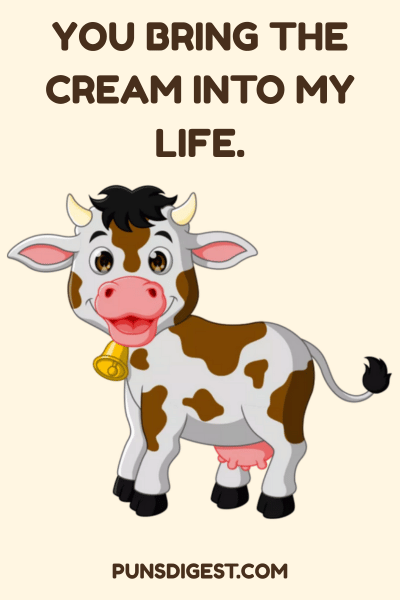 Funny Cow Puns