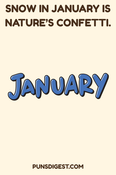Funny January Puns