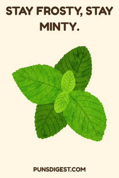 Funny Mint Puns