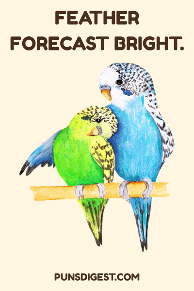 Funny Parakeet Puns